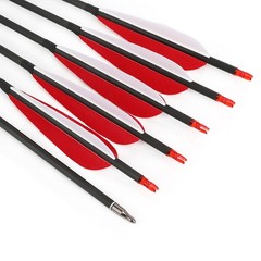 35″ Archery Pure Carbon Arrows SP500 600 5″ Turkey Feather Recurve Bow Hunting