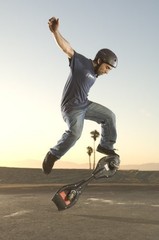 Razor RipStik Caster Board Classic Collection, 2 Wheel One Size, Silver