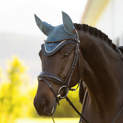 IT08283 LeMieux Loire Satin Fly Veil Hood Lycra Bonnet – Jungle NEW