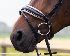 QHP Lupine Patent Leather Dressage Bridle – Black/Gun Metal or Dark Brown/Beige