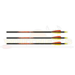 Beman ICS Hunter Junior Arrows – 26in. – 6pk – 917992