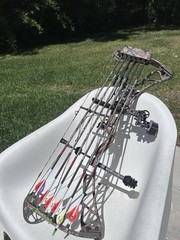 Elite Synergy Bow 30.5” 70#