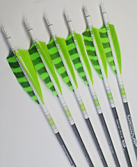 Goldtip warriors arrows for Traditional archery