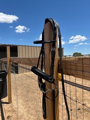 Black CWD Dressage Bridle Size 2
