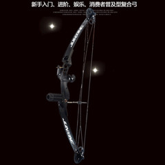 Bowfishing Compound Bow Arrows 30-40lbs Adjustable Archery Hunting Fishing Shoot