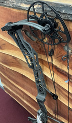 Mathews Lift X 28.5 Shale 28.5″D/L 60#D/W *Display Bow* -9312-