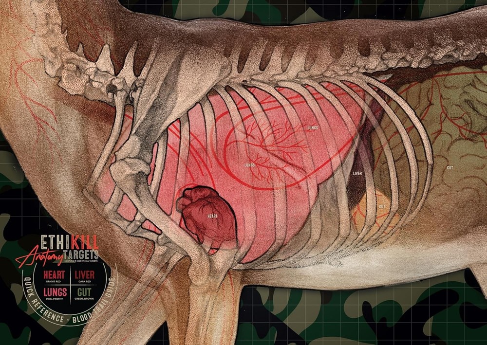 Deer Target 2-Sided Paper 18×26 inches (folded to 6.5×9 inches), Full Color