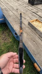 Bear Archery Black Bear Recurve Bow 60in 40lb @ 28in RH Wood Brown/Black