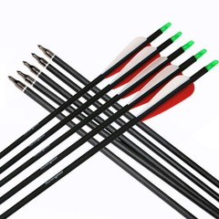 12Pcs 28/30/32″ Carbon Arrows Spine500 For Compound & Recurve Bow Hunting Target