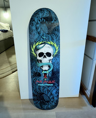 Powell Peralta Mike McGill Skull and Snake Skateboard Deck, Blue/Black Graphic