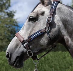 Antares Elastic Stressless Halter Horse Size 2