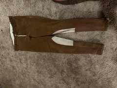 Breeches Devon Aire 34 L