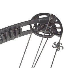30-55 LBS Archery Compound Bow Fishing Set Beginners Hunting Target Shooting