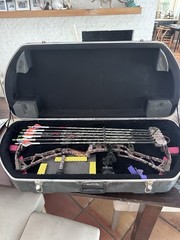 Elite Synergy Bow 30.5” 70#