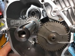 Predator 212 Hi Power built ARC Billet Rod Mongoose .272 Racing Cam ported head