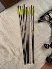 Hoyt VTM 31 RH 70# WILDERNESS 28DL