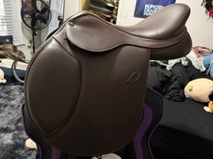 17” Arena Jump Saddle