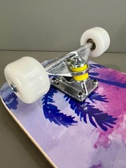 Wilver Complete Skateboards for Beginners to Pro 31 inches – Color B Aloha