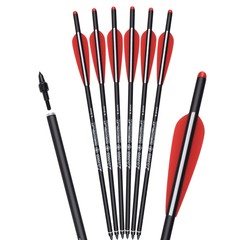 12pcs 18/20 Inch Archery Carbon Arrow Hunting Arrows for Compound&Recurve Bow