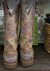 Macie Bean Floral Embroidered Suede Western Cowboy Boots 9.5