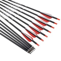 26 inch Carbon Arrow Hunting Arrows with 100 Grain Removable Tips for Archery…