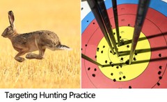 6/12pcs Fiberglass Arrows Hunting Archery Target Arrows Recurve Bow Longbow Hunt