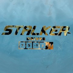 Discraft Swirly ESP Stalker Cntrl Drvr, Paige Pierce 5X WC, 173-174g, New, 9.5+