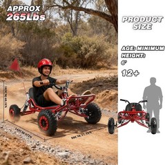 Electric Go Kart 2000W Motor Go Kart Premium Steel Tubular Frame 3 Speed 30MPH