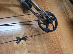Hoyt – Havoc Tec – compound bow – Camo
