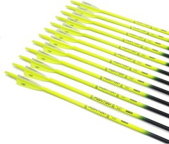 30 Inch Carbon Arrows Fluorescent Target Practice Hunting Pack of 12