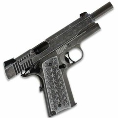 SIG SAUER 1911 We The People 4.5 Cal BB Airgun 17RD All Metal FULL BLOWBACK