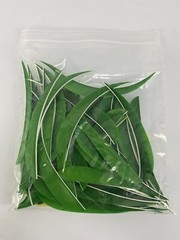 50 PACK TrueFlight 5″ Inch Archery Feathers Right Wing Parabolic Cut Green NEW