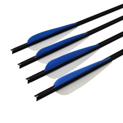 6/12Pcs 16-20 inch Crossbow Bolts Carbon Arrows Half Moon Nocks 8.8mm Shooting