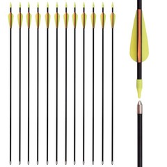 26 28 30 Inch Youth Arrows Fiberglass Archery Recurve Bow Target Arrows Practice
