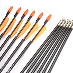 12Pcs 31 Inch Archery Fiberglass Target Practice Arrows for Recurve Compound Bow