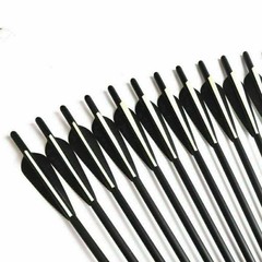 20 Inch Crossbow Arrows with 4″ Vane 125 Grain Arrowheads Archery Hunting 12PACK