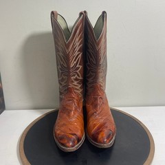 Dan Post Boots Men 9.5 Brown Eel Skin Leather Western Cowboy Snip Toe Exotic