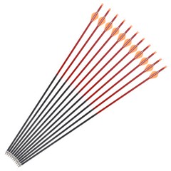 Mixed Carbon Arrow 30″ Archery Targeting Hunting Practice Arrows Power Shooting