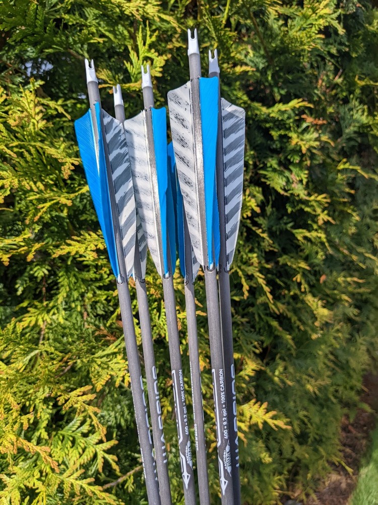 Gold Tip Warrior Carbon Arrows. 700, 600, 500, 400, 340, or 340. 6 Pack.