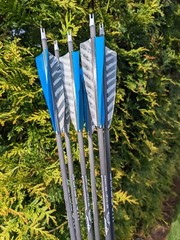 Gold Tip Warrior Carbon Arrows. 700, 600, 500, 400, 340, or 340. 6 Pack.
