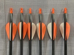 QTY 6 VICTORY BBVFVH-400F-72 BUCK BUSTER 400 SPINE 72 CARBON ARROW 31″ 2″ VANE