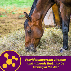 Horse Health Red Cell, Liquid Vitamin-Iron-Mineral Supplement for Horses, Helps