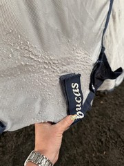 78” Bucas Buzz Off Full Neck Horse Fly Sheet – Used