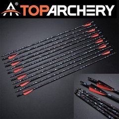 Archery 30-70lbs Compound Bow RH Carbon Arrows Target Hunting Shooting 310 FPS
