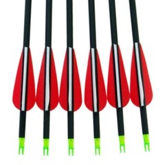 30″ Archery Carbon Arrows Spine 500 Compound Recurve Bow Hunting Target Practice
