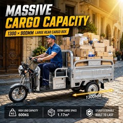 Electric Tricycle Cargo Truck 600W Free Shipping Electric Cargo Trike Orchard