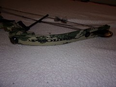 Proline Riptide Compound Bow
