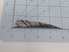 100 Pack Gateway Feathers 4″ Right Wing: Shield Camo Tre Bark 400RSTBR-100
