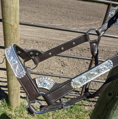 Silver Show Halter – Iridescent Stones – Dark Oil – Horse Size – Matching Lead