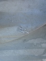 80” Bucas Buzz Off Full Neck Horse Fly Sheet – Used
